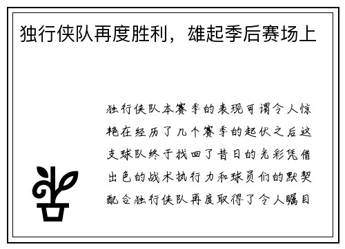 独行侠队再度胜利，雄起季后赛场上