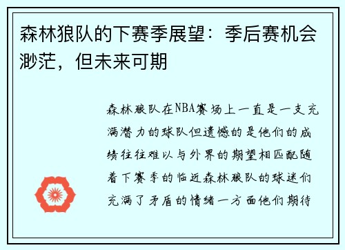 森林狼队的下赛季展望：季后赛机会渺茫，但未来可期