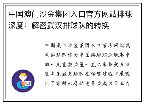中国澳门沙金集团入口官方网站排球深度：解密武汉排球队的转换